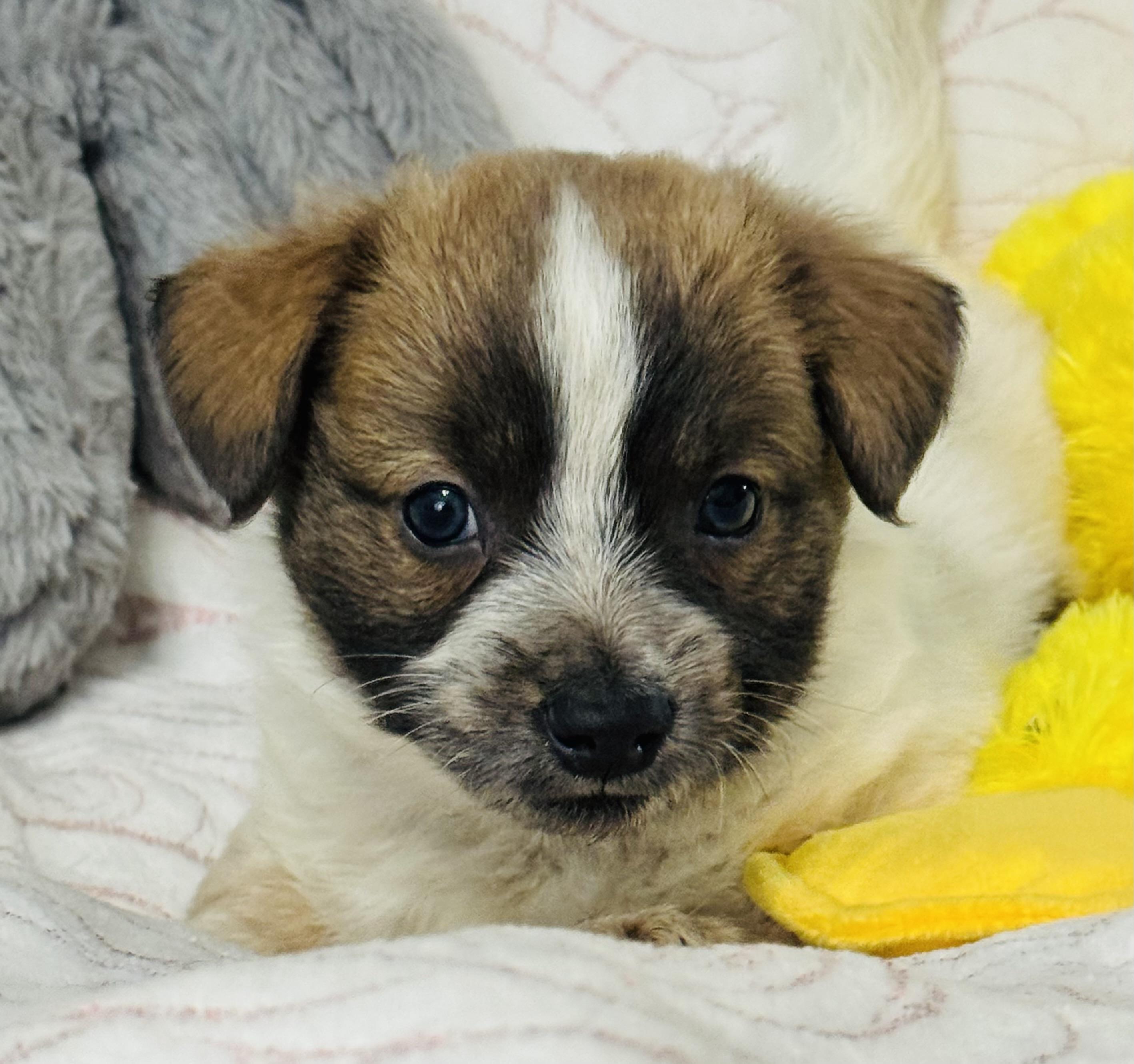 Benjamin Franklin thumbnail 2