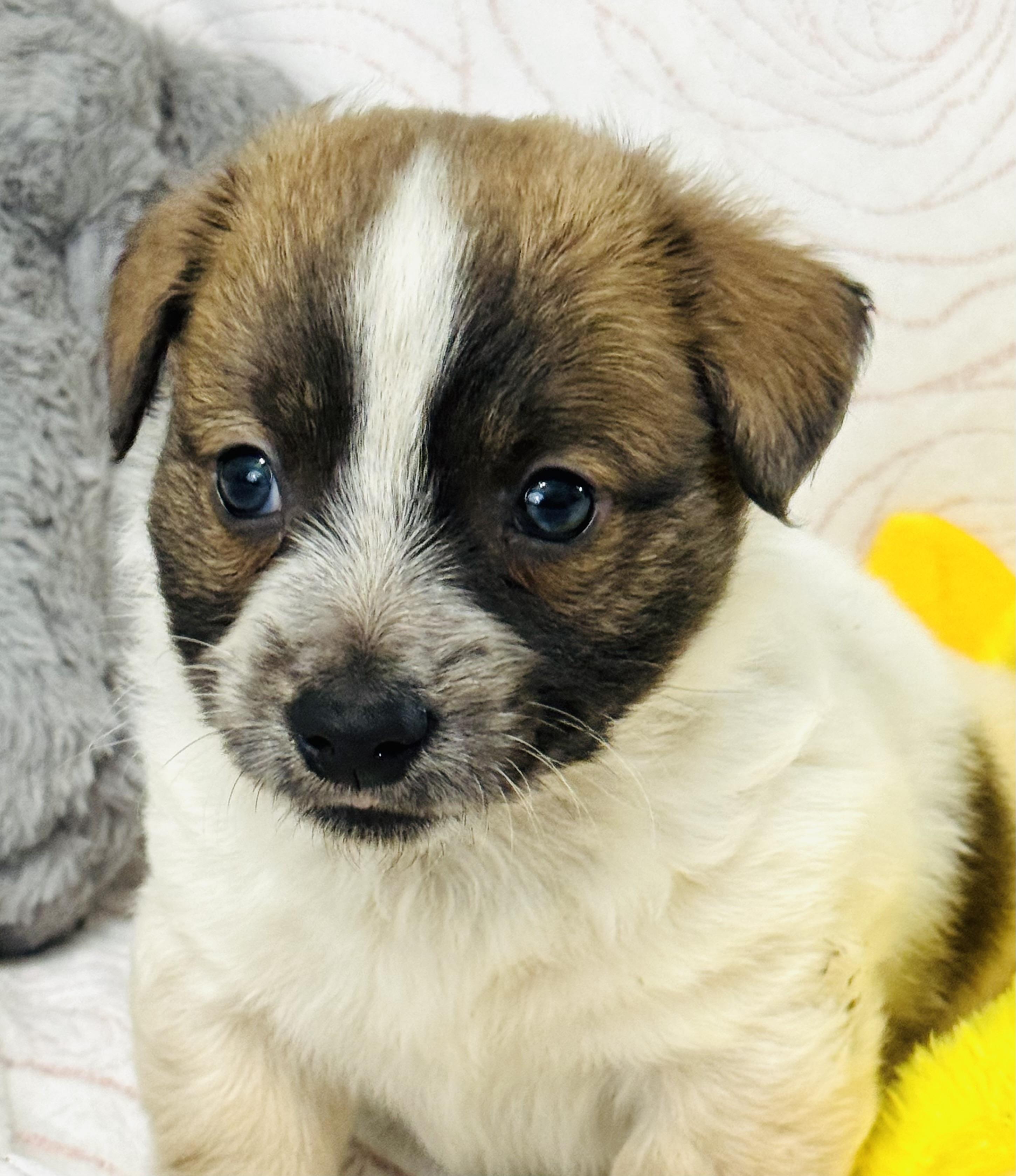 Benjamin Franklin thumbnail 3