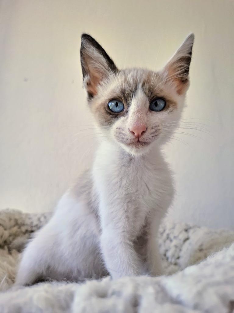 Zuko