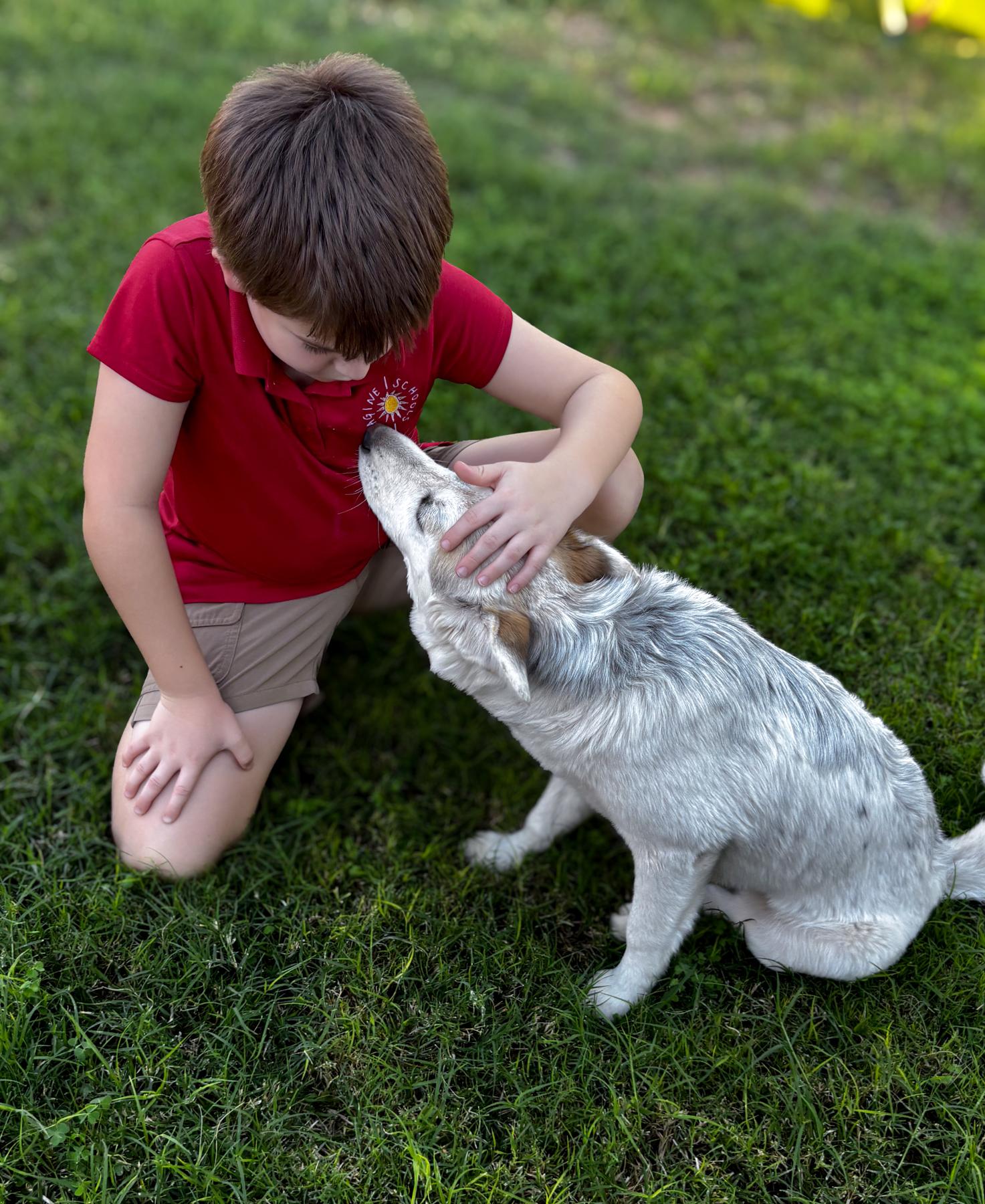 Xena, a Adoptable mixed breed in Scottsdale, AZ image 6/6