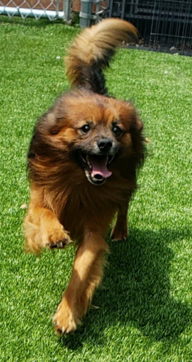 Stewie photo 2