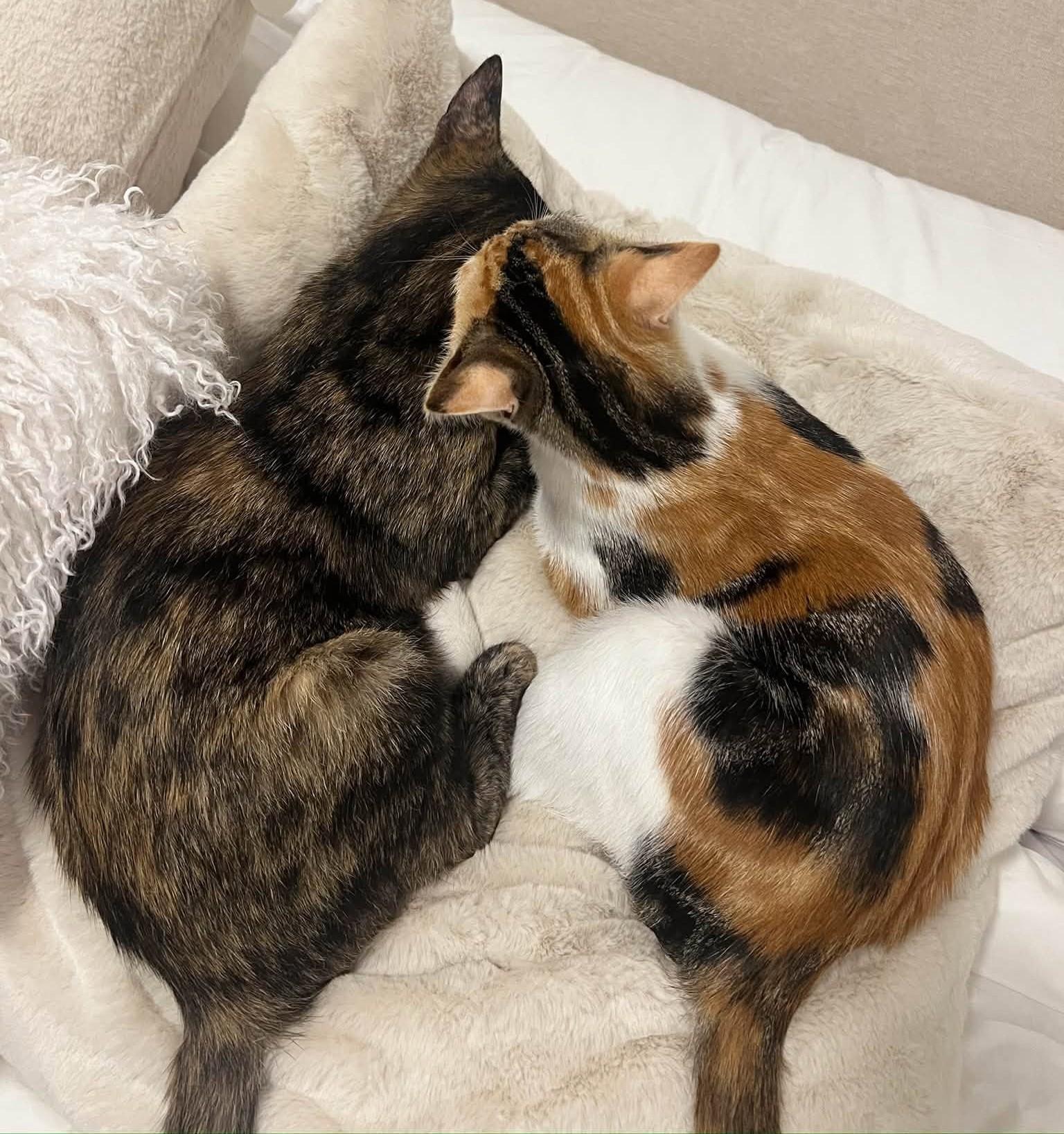 Rory & Ruby photo
