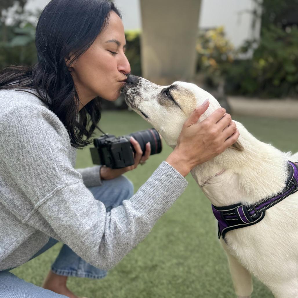 Enlarge Pear Blossom, a Adoptable mixed breed in Los Angeles, CA image 3/6
