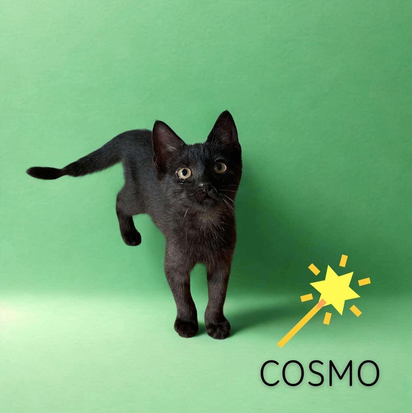 Cosmo
