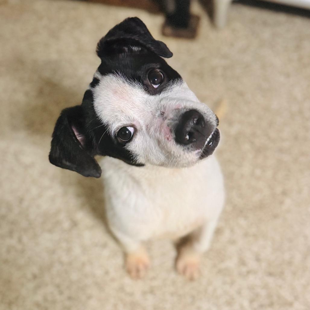 Jonah — thumbnail 3