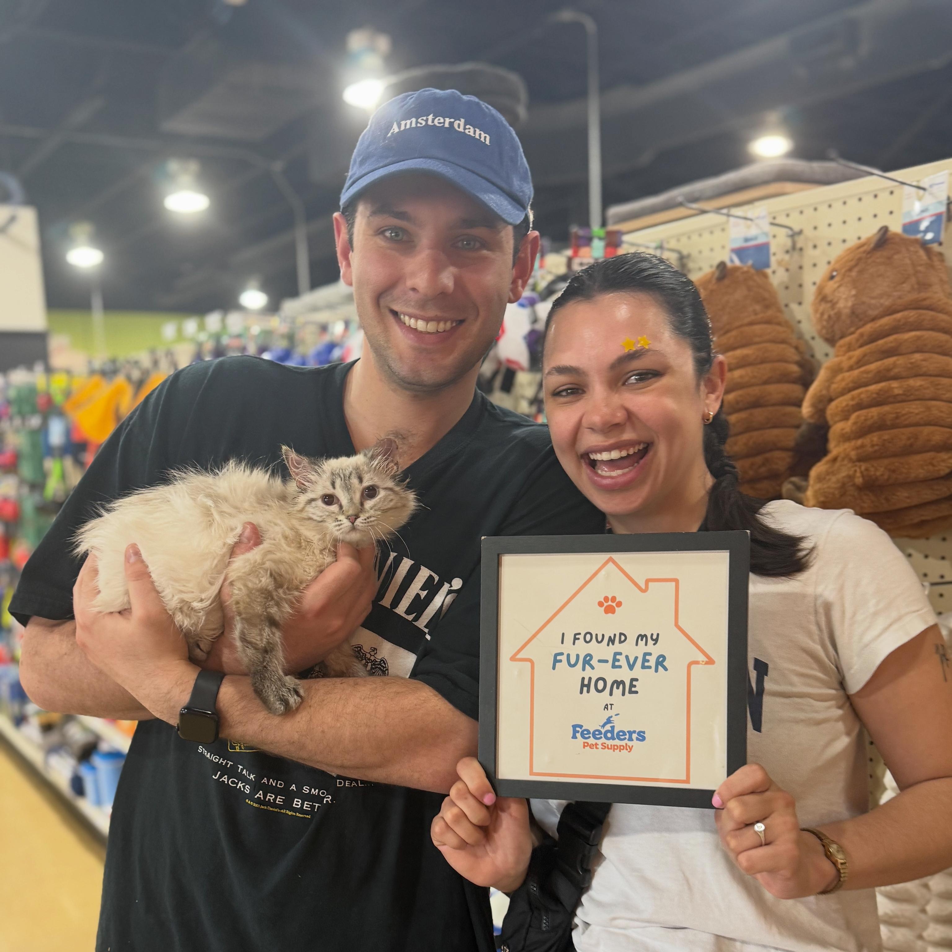 Maddie, an adopted mixed breed in Louisville, KY image 2/2