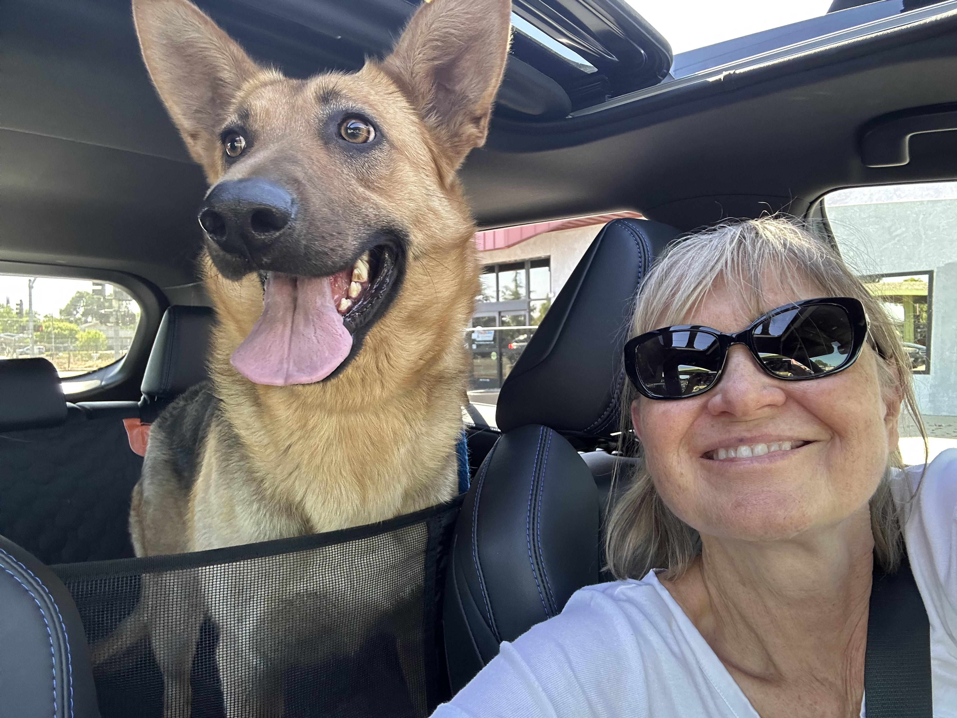 Twila, a Adopted mixed breed in Tracy, CA image 1/6