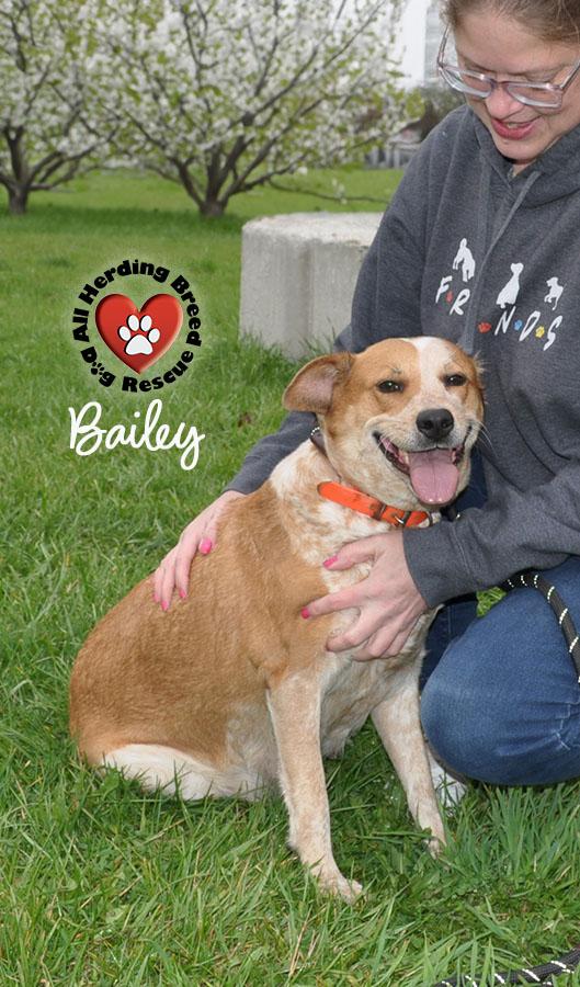 Baily