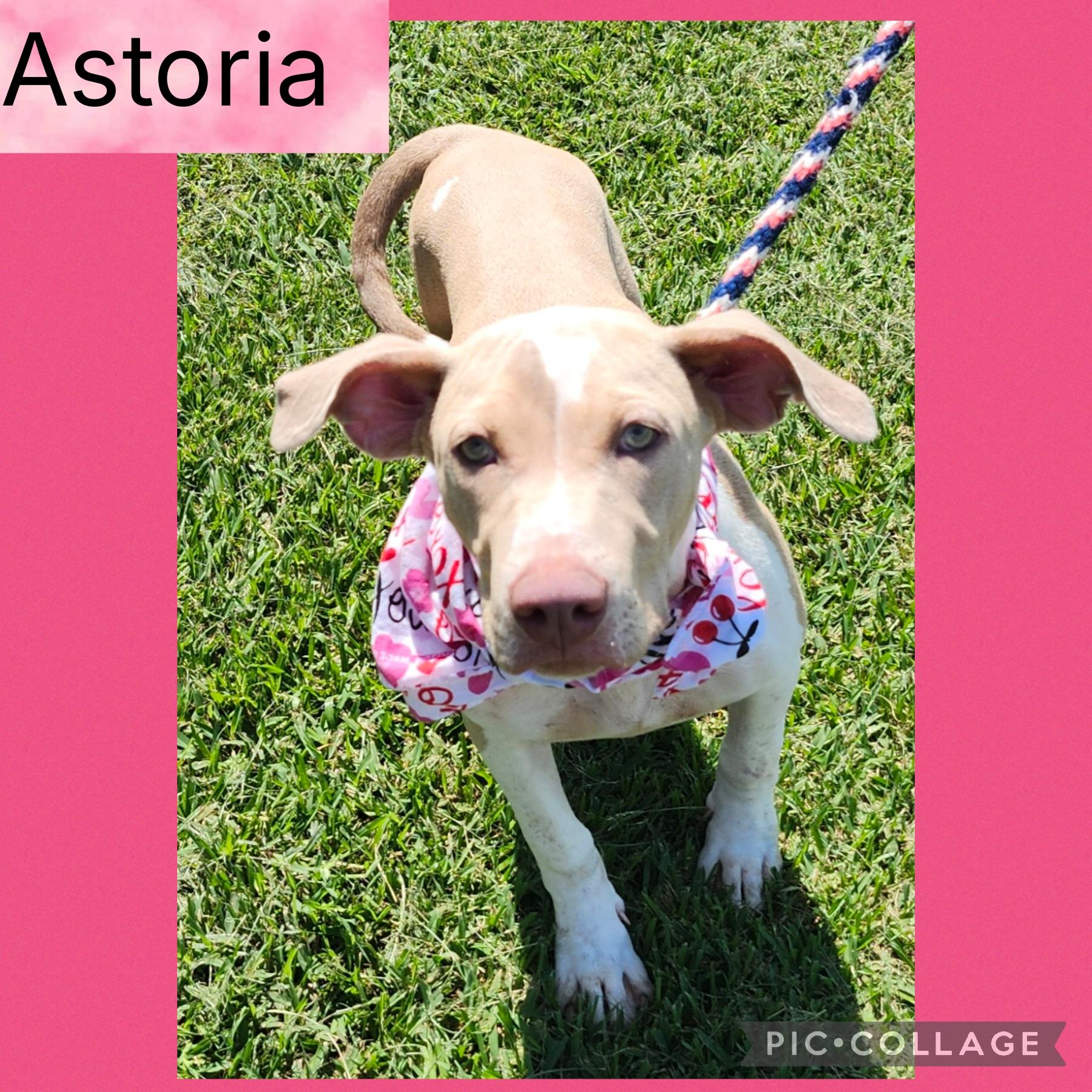 Astoria