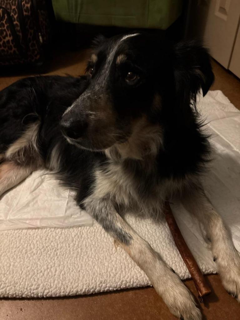 Jacque — thumbnail 4