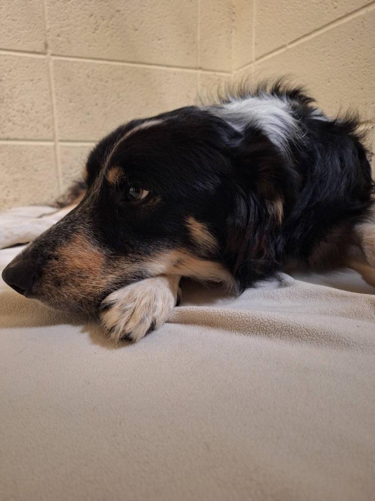 Jacque — thumbnail 5