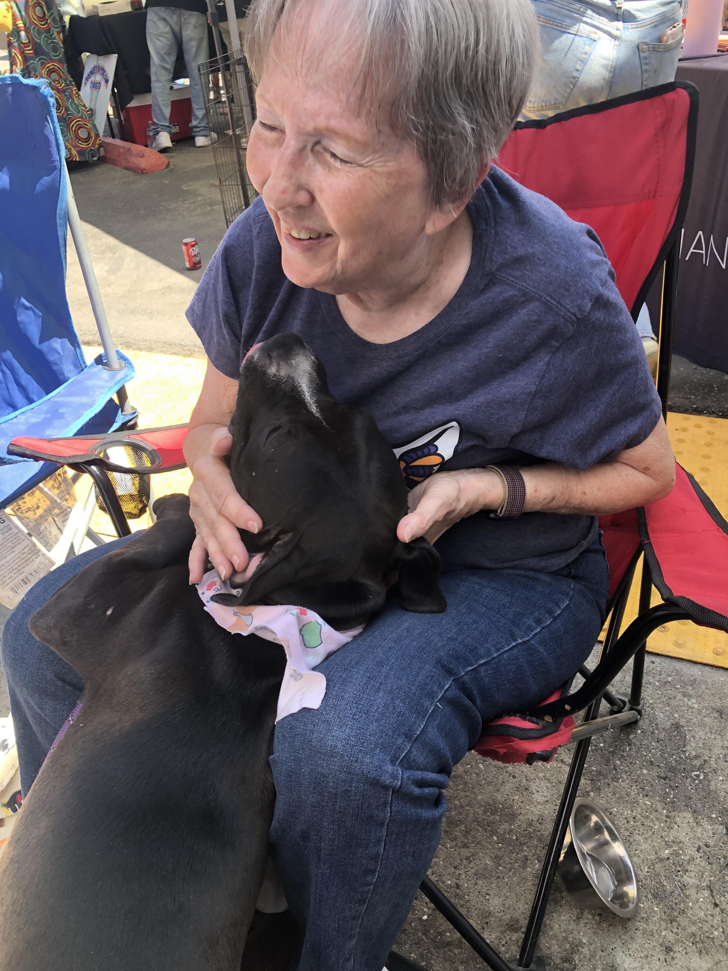 Izzy, a Adoptable mixed breed in Monrovia , CA image 5/6