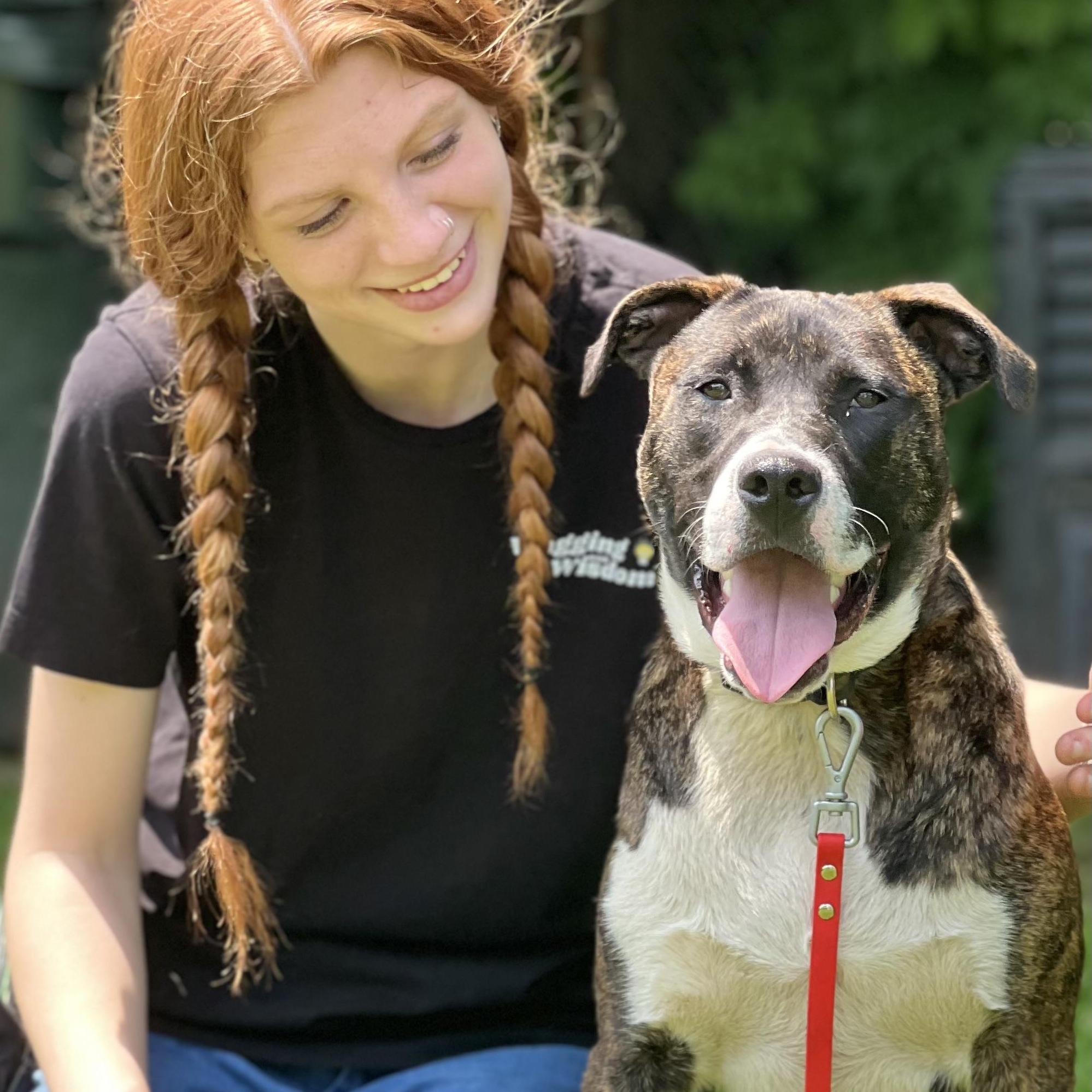 Jargon, a Adoptable mixed breed in Griswold, CT image 1/6