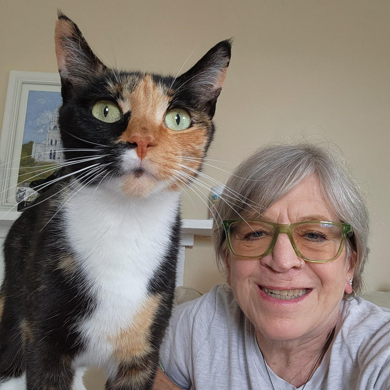 Lucky, a Adopted mixed breed in Bath, ME image 2/6