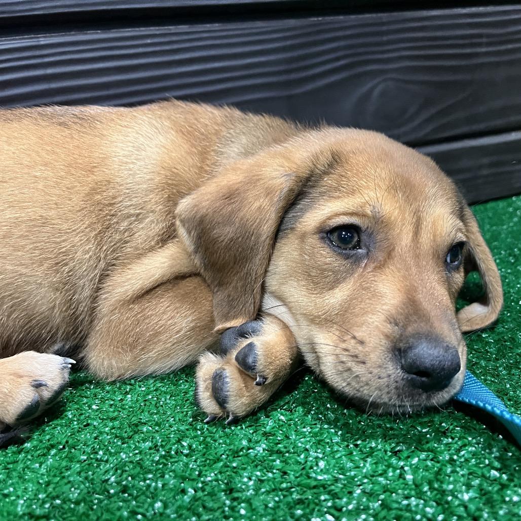 Holly — thumbnail 2