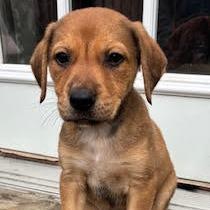 Holly — thumbnail 4