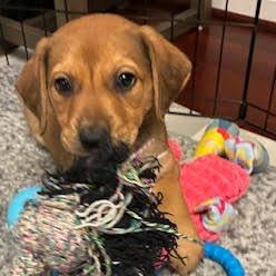 Holly — thumbnail 5