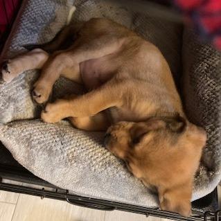 Holly — thumbnail 6