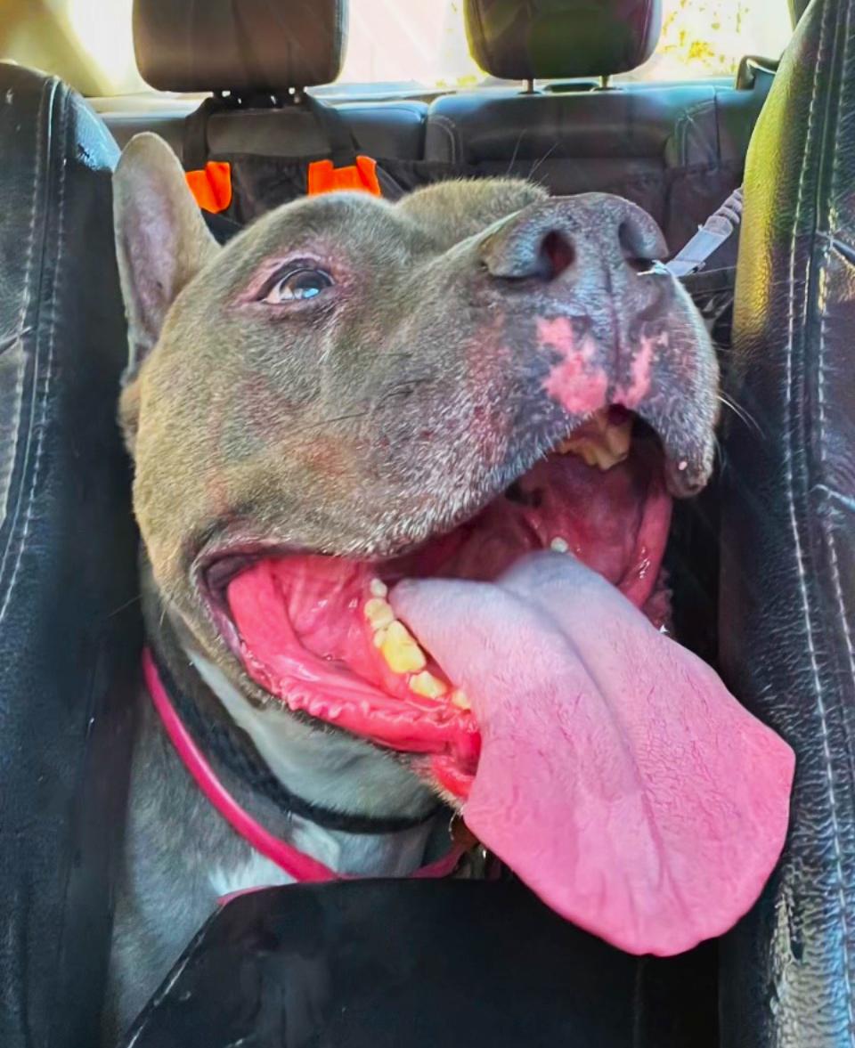 Irondale -Fun loving and sweet