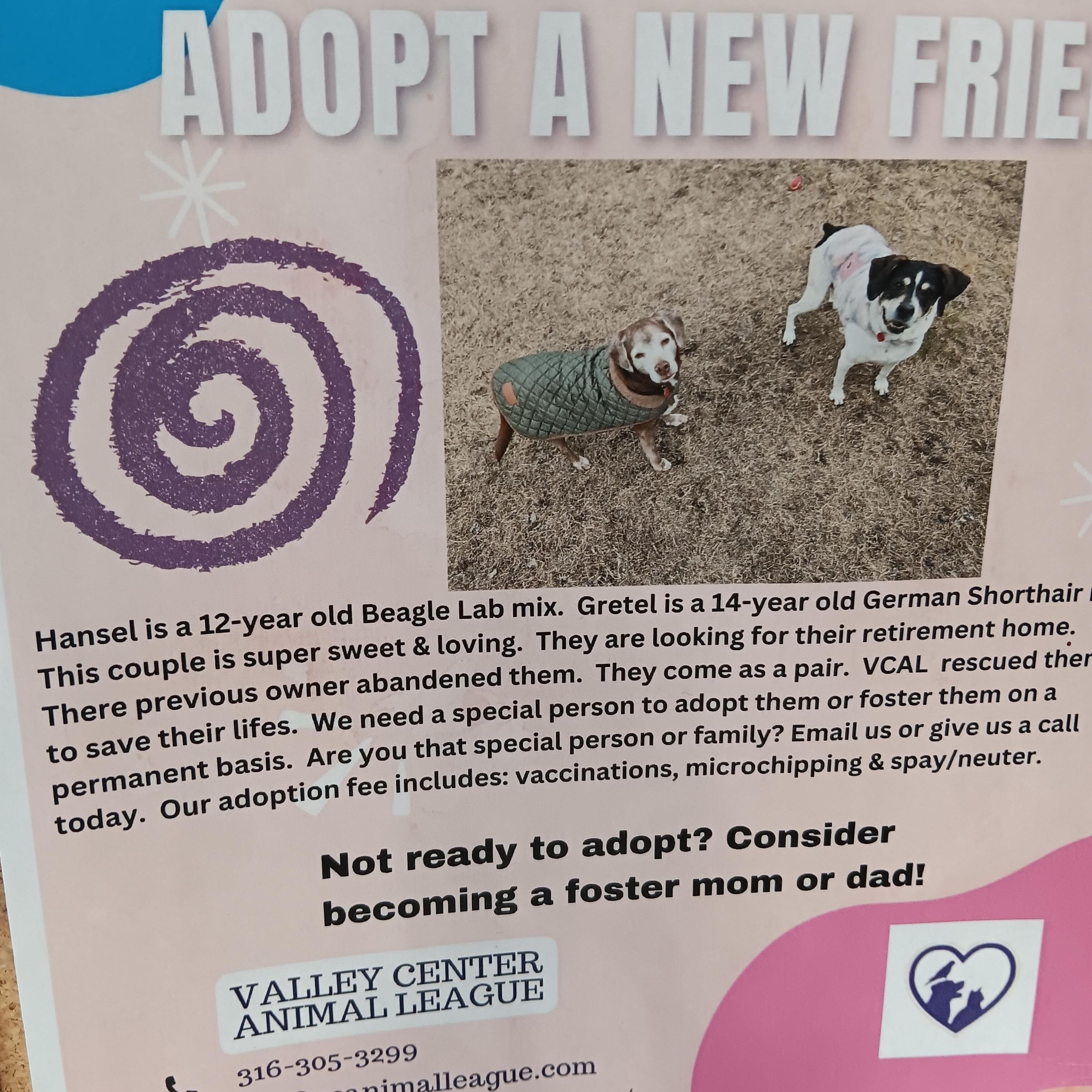 Hansel, a Adoptable mixed breed in Valley Center, KS image 1/2