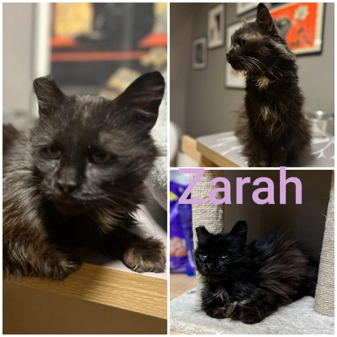 Zahra