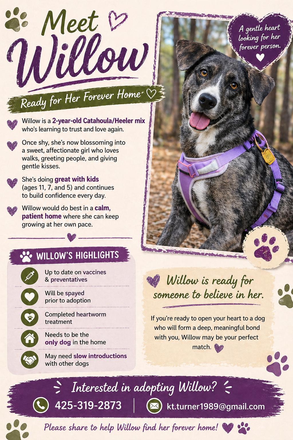 Enlarge Willow, a ADOPTABLE mixed breed in Jefferson, TX image 1/1