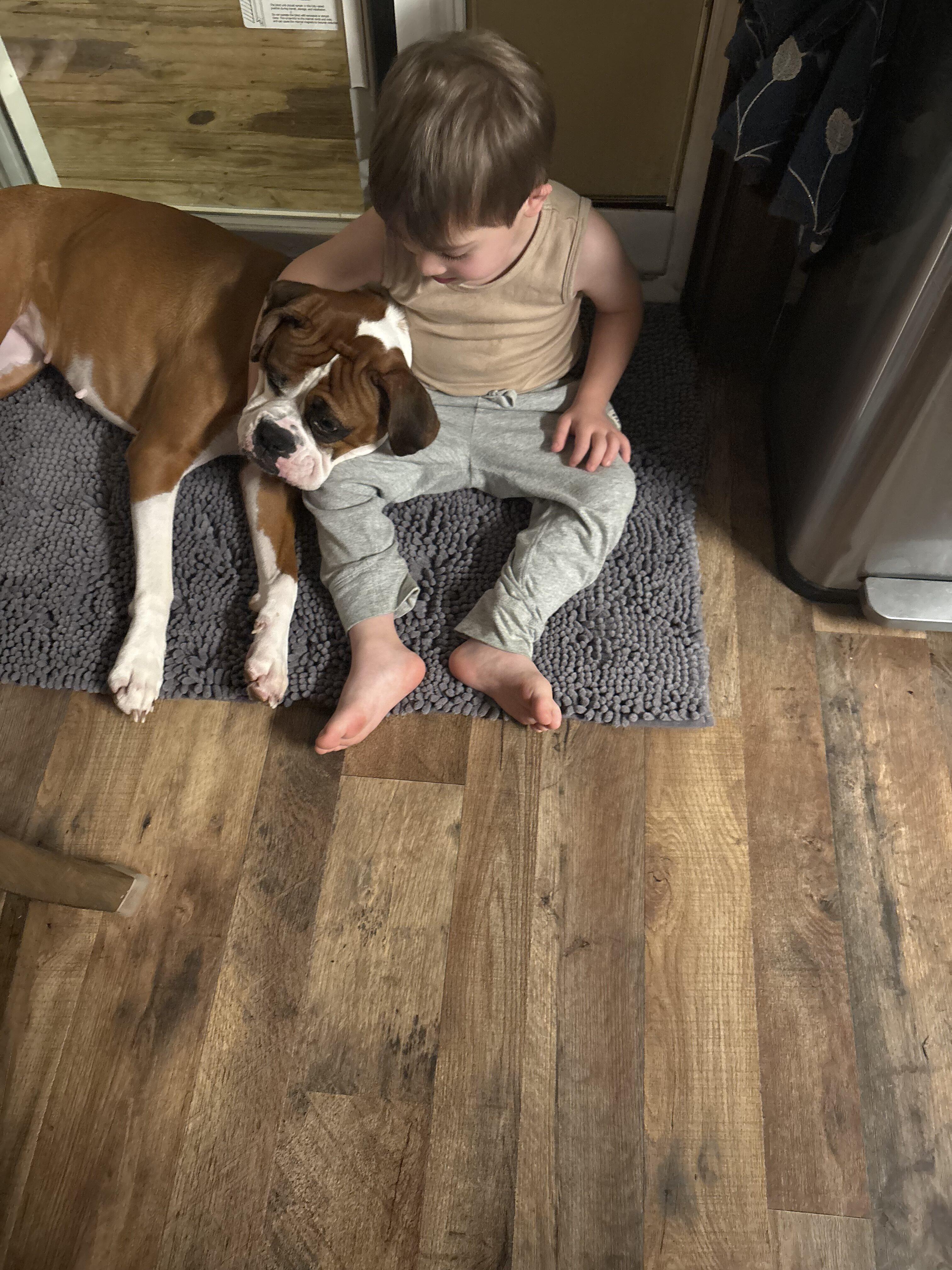 Enlarge Molly - URGENT FOSTER NEEDED, a Adoptable Boxer in Middlesex, NJ image 3/5