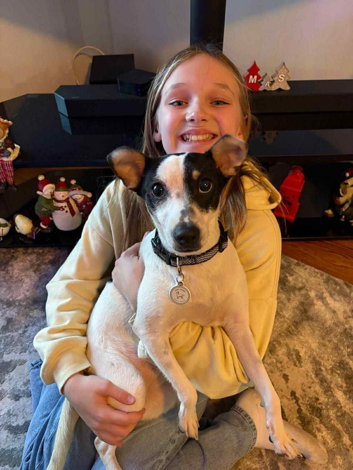 Enlarge Puka, a ADOPTABLE mixed breed in Dunmore, AB image 4/5