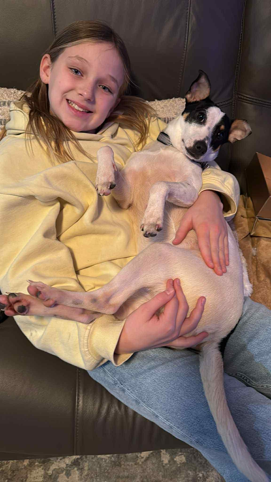 Enlarge Puka, a ADOPTABLE mixed breed in Dunmore, AB image 5/5