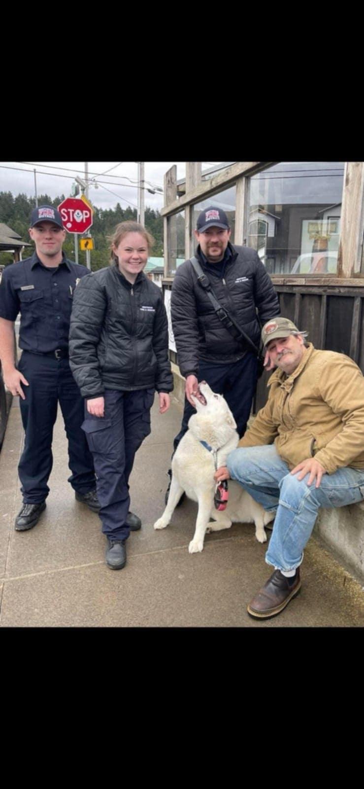 Kiska, a Adoptable Husky in Tillamook, OR image 2/4