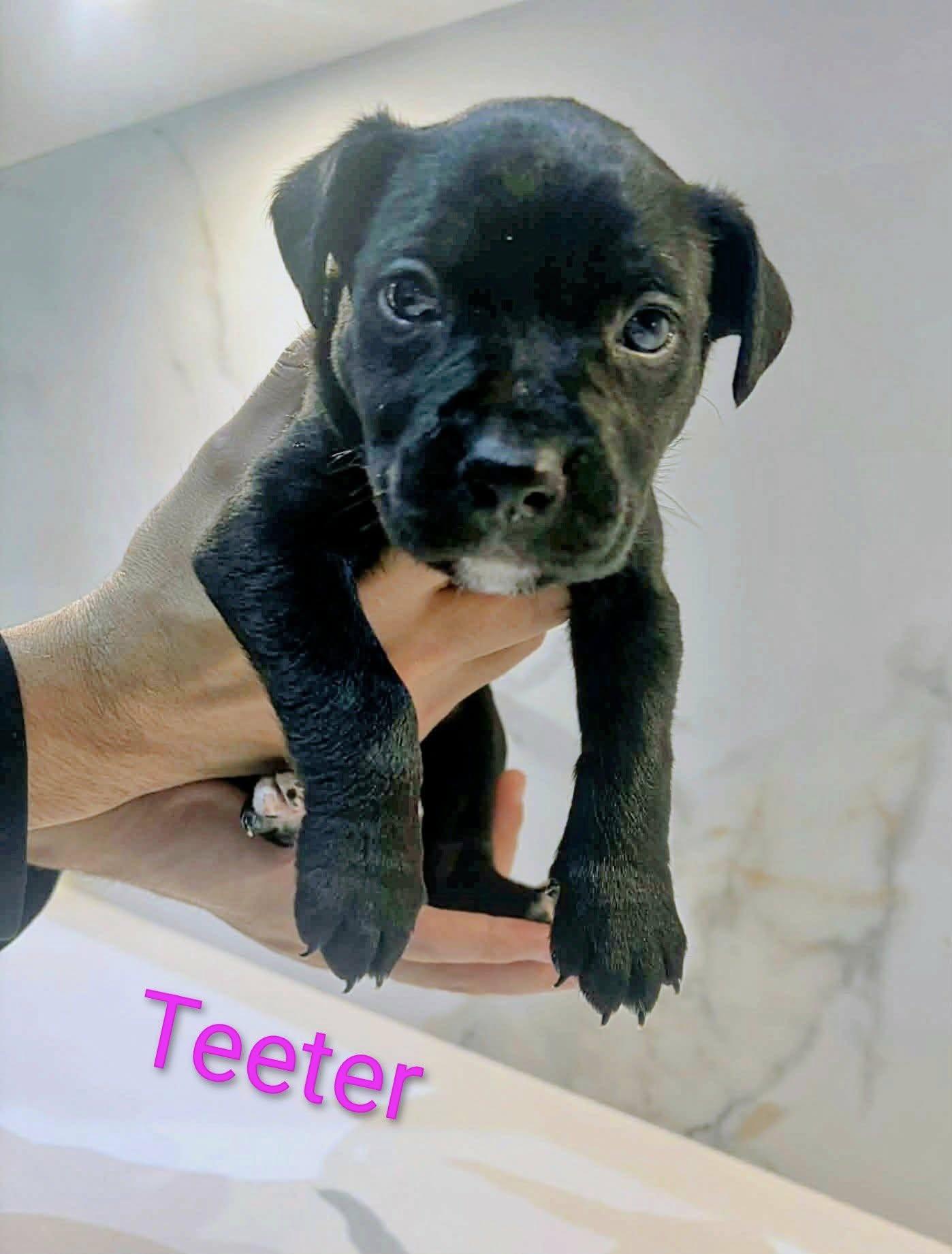 Teeter (20251222-04)