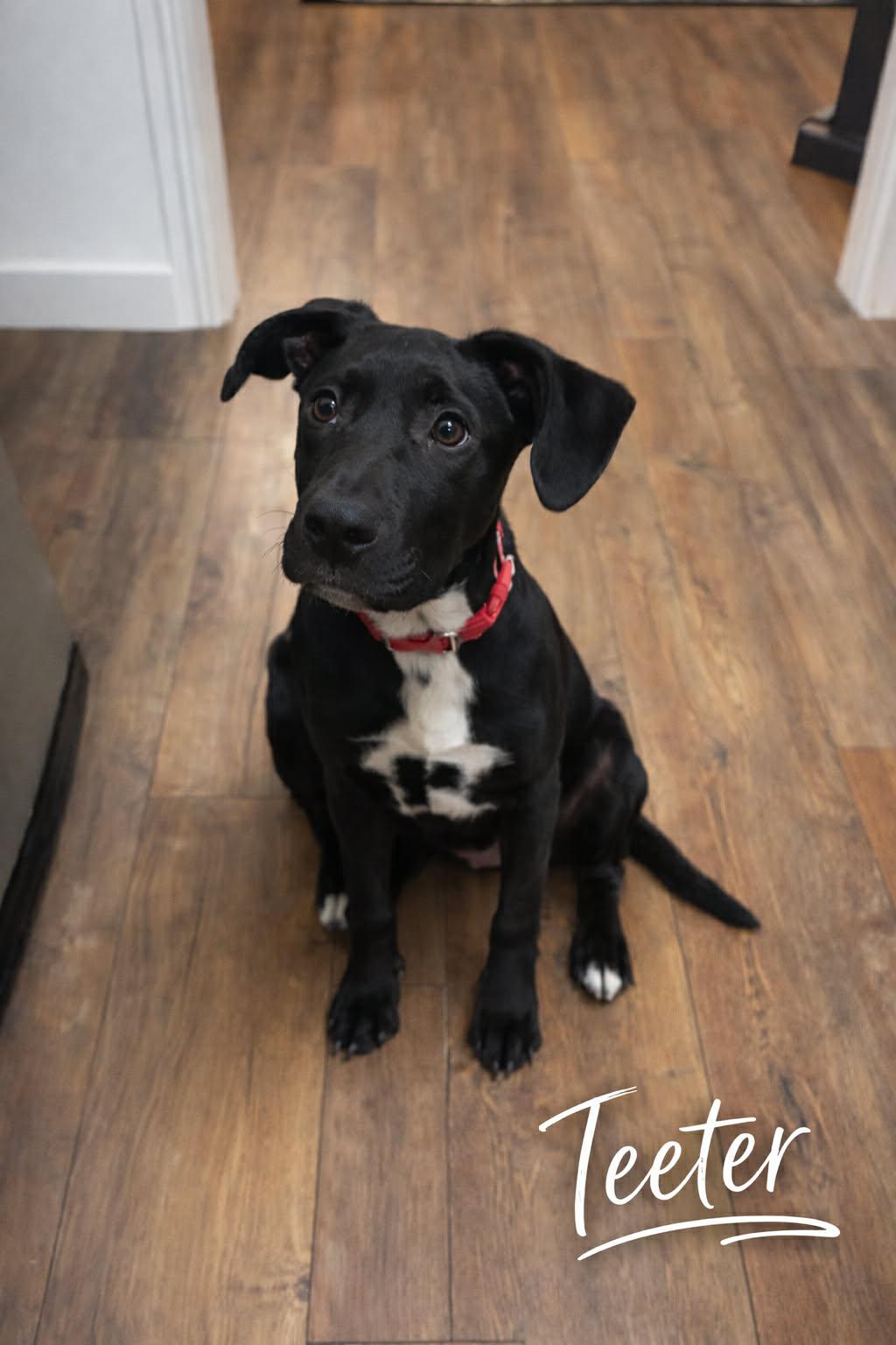 Teeter (20251222-04) — thumbnail 6