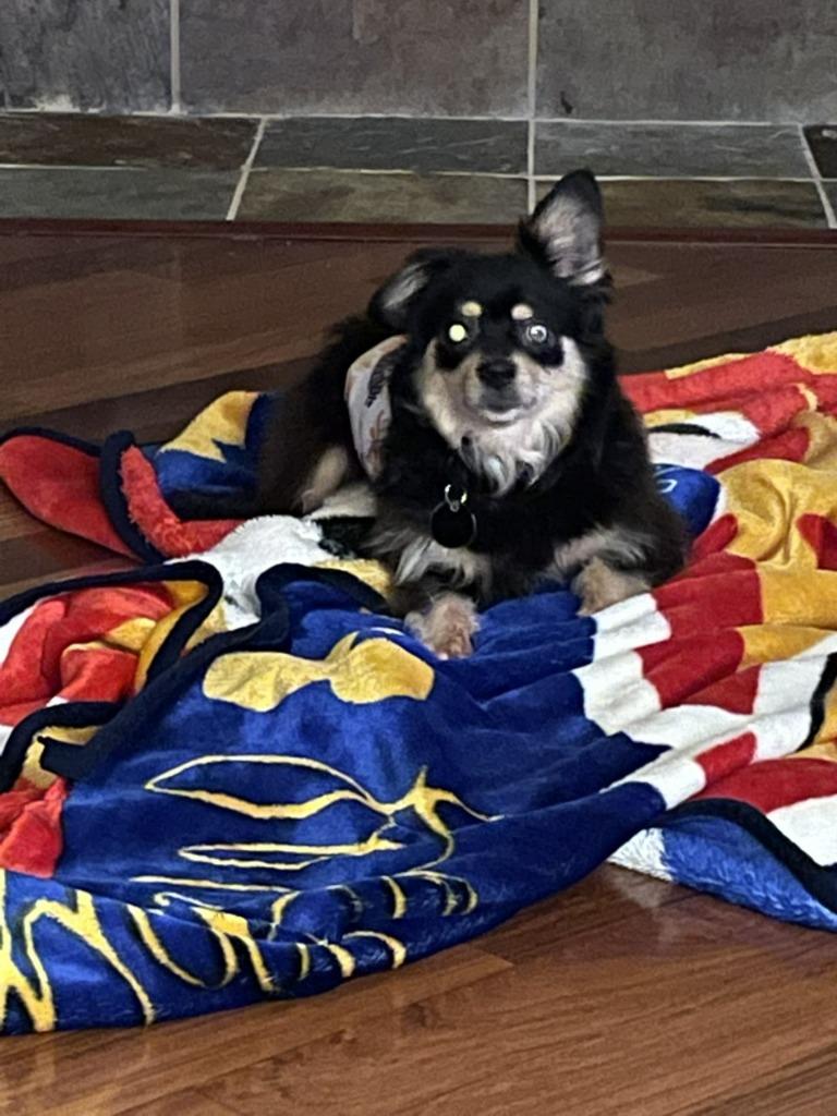 Stevie (In Foster)