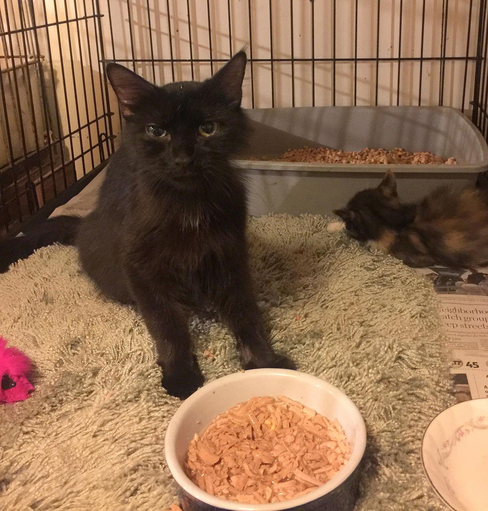 Charolette — thumbnail 3