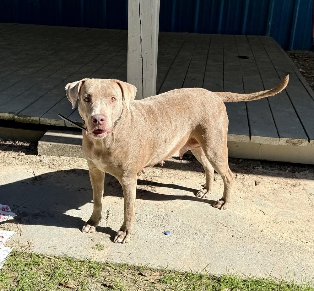 Lilah 💜 thumbnail 4