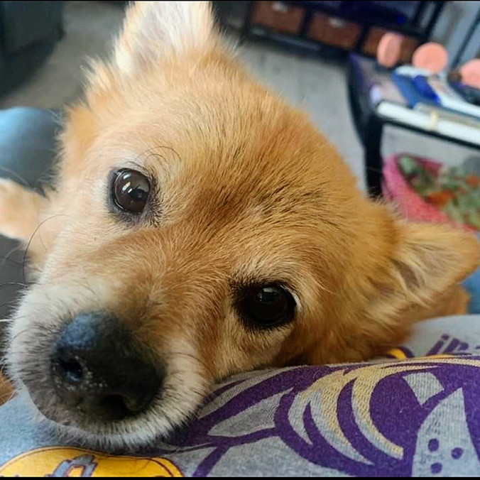 Toby photo 2