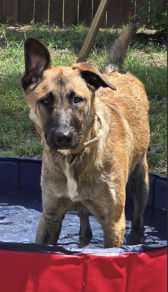 Zeus