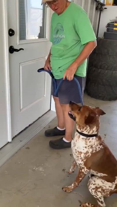 Enlarge Otis Moo, a Adoptable mixed breed in Covington, TX video 4/5