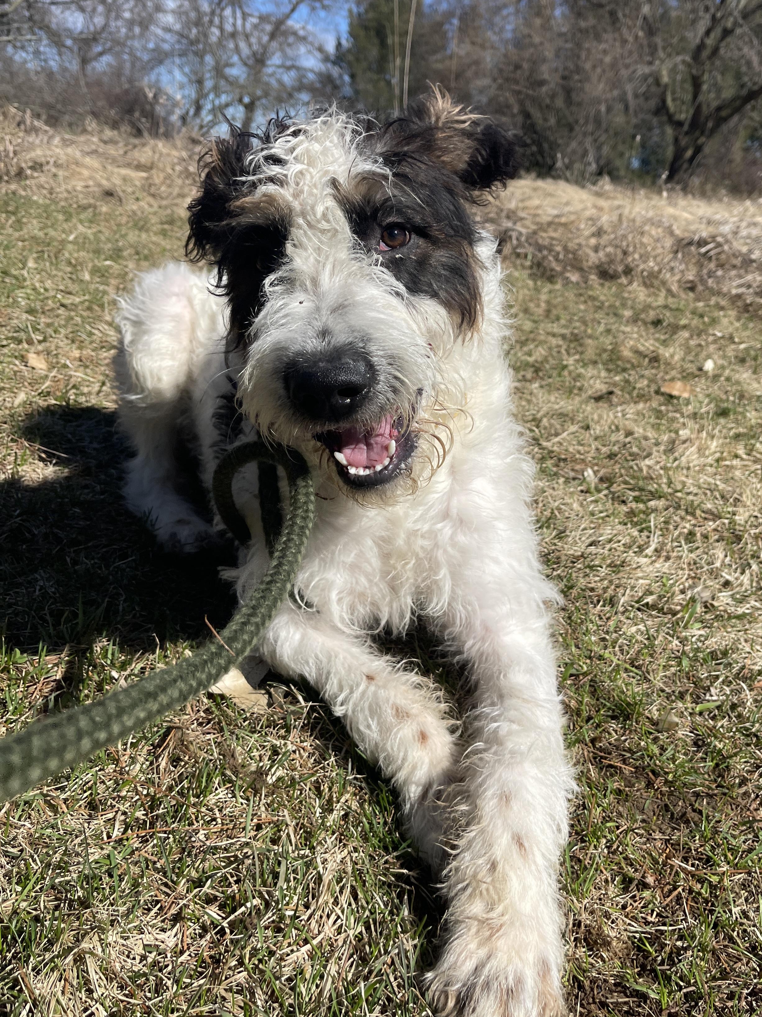 Ramona — thumbnail 5