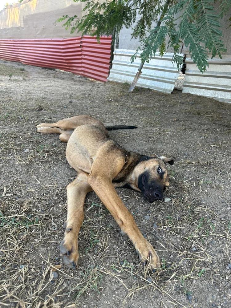 Dua Lipa — thumbnail 4