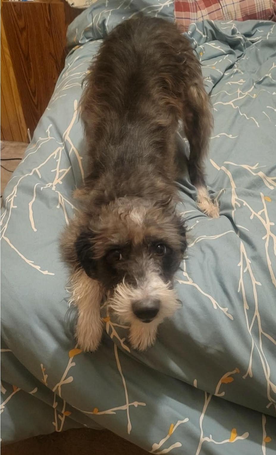 Karlie — thumbnail 4