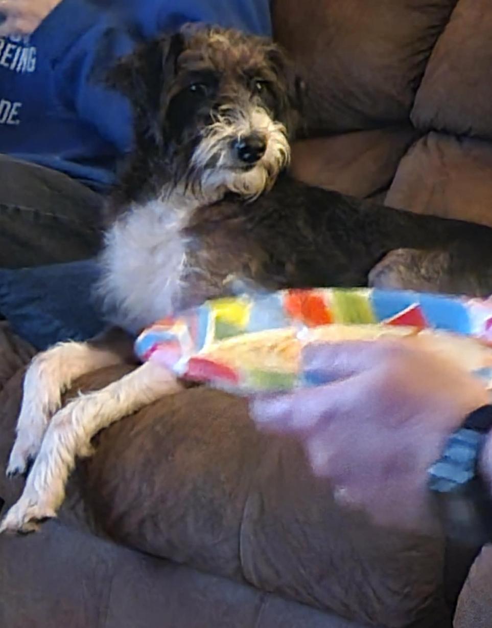 Karlie — thumbnail 5