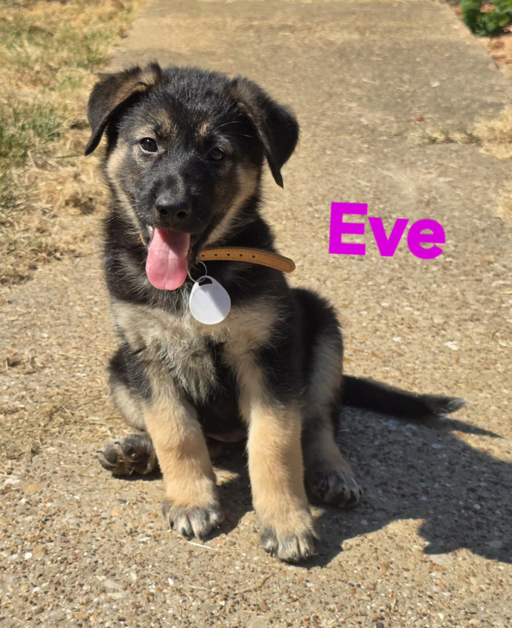 Eve