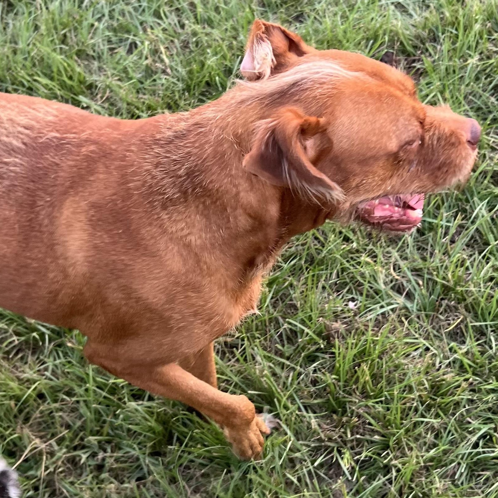 Legs - Local Sept 26-28