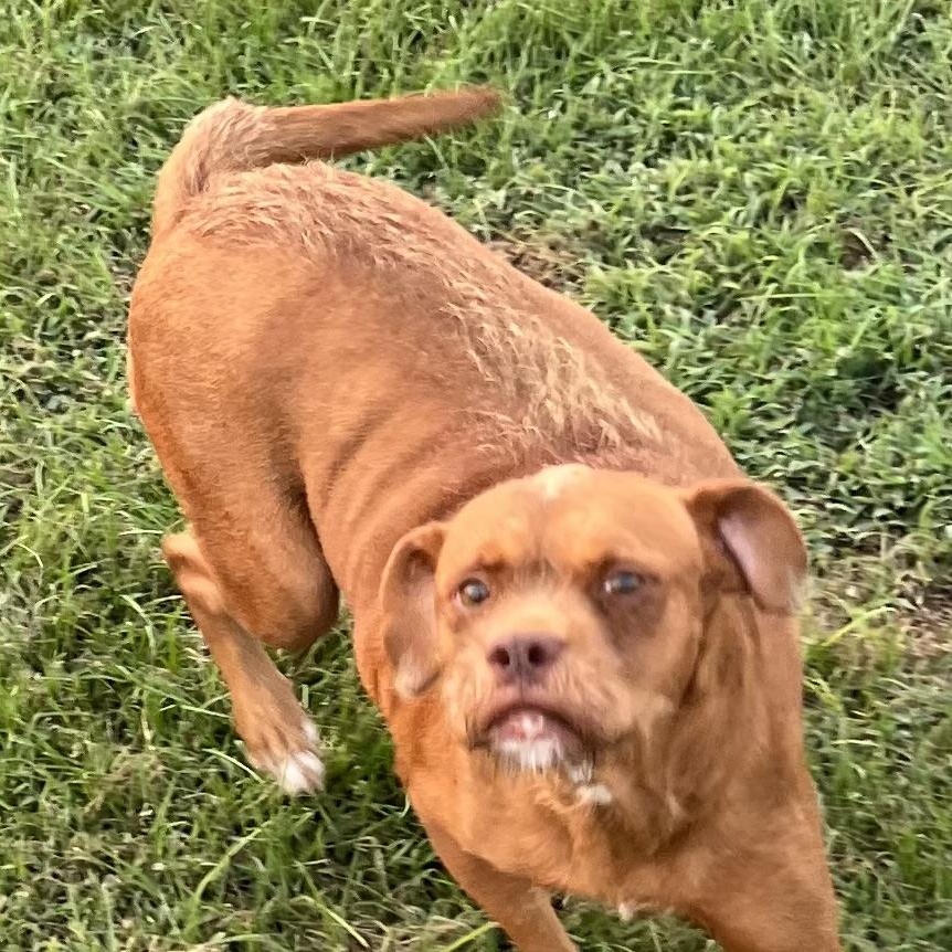 Legs - Local Sept 26-28