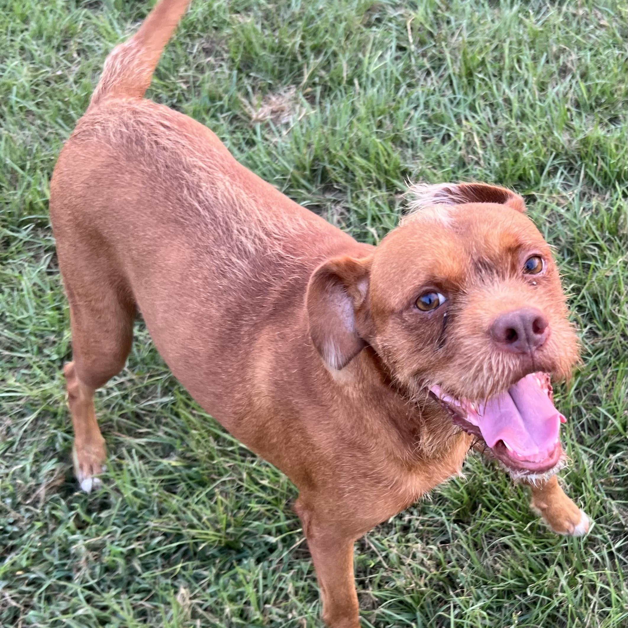 Legs - Local Sept 26-28