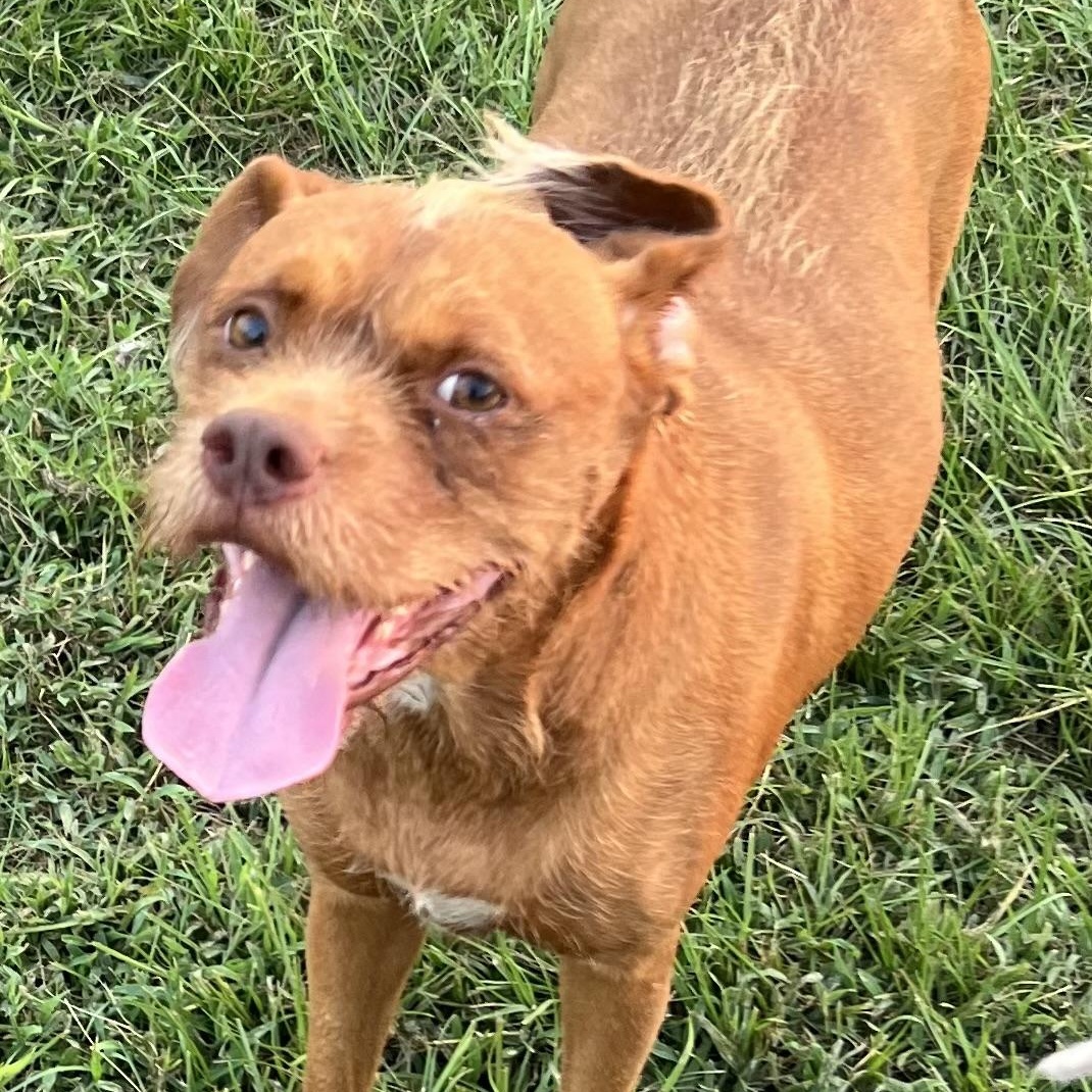 Legs - Local Sept 26-28