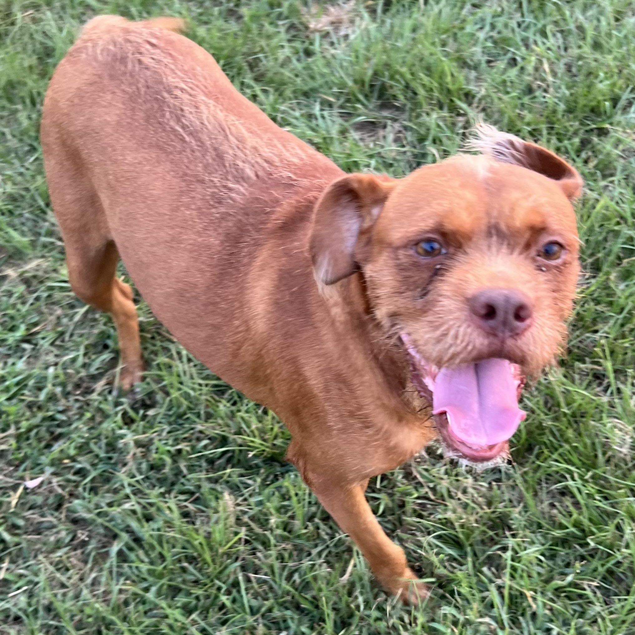 Legs - Local Sept 26-28