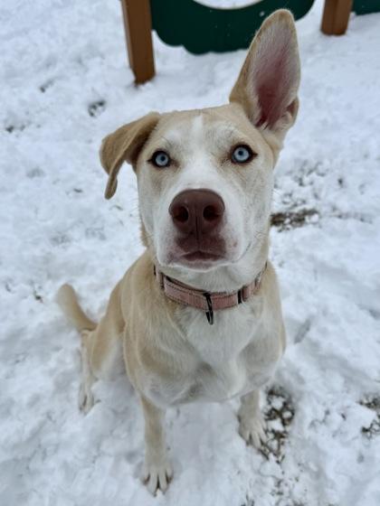 Madeline thumbnail 2