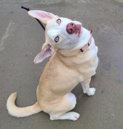 Madeline thumbnail 4